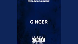 Ginger (feat. Hamsikk) (Remix)
