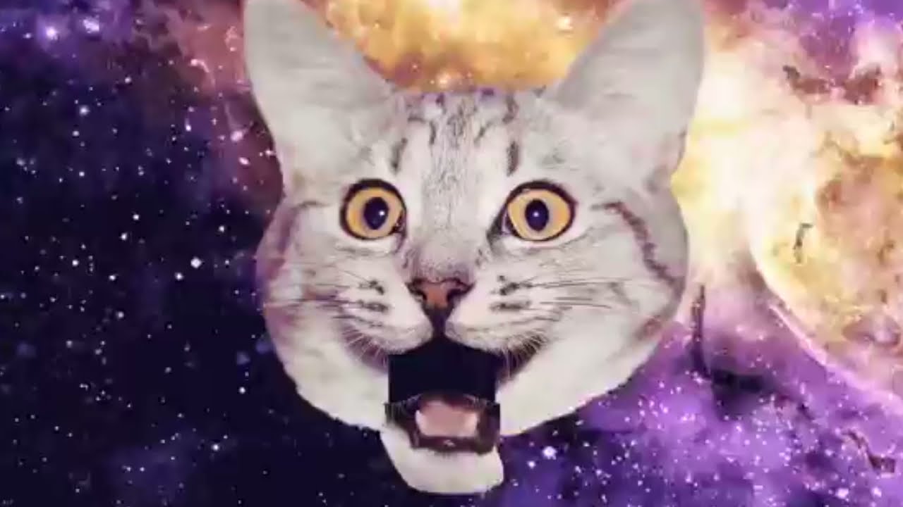 猫リセット - YouTube