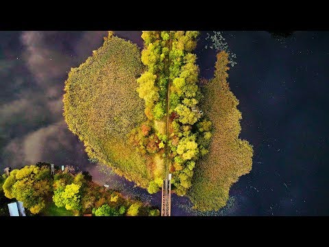 Wideo: 5 głównych kolorów jesieni