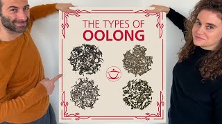 OOLONG TEA TYPES UNCOVERED: Your guide to understand and recognize them