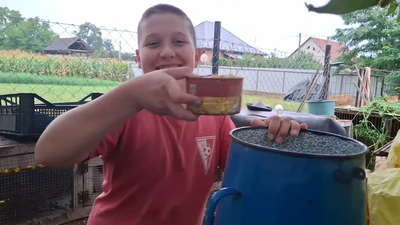 Meg van a 200 feliratkozó! Lett egy székely nyulam!🐇! 