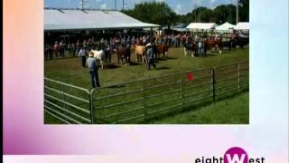 kent co fair 2