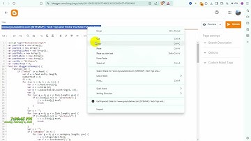 Blogspot Tubes : How To Add Page Settings on Blogger.com {Blog Post SEO Settings}