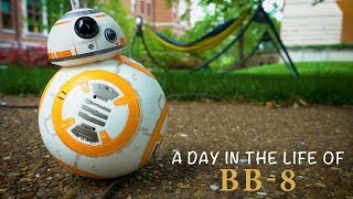 A Day in the Life of BB-8