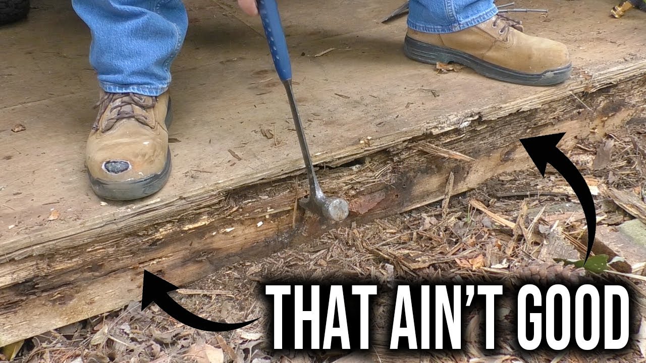 How to Replace Rotted Shed Framing | Box Joist | Step-by-Step DIY Guide 🏡