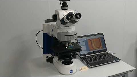 17599 - Zeiss Axio Imager A1