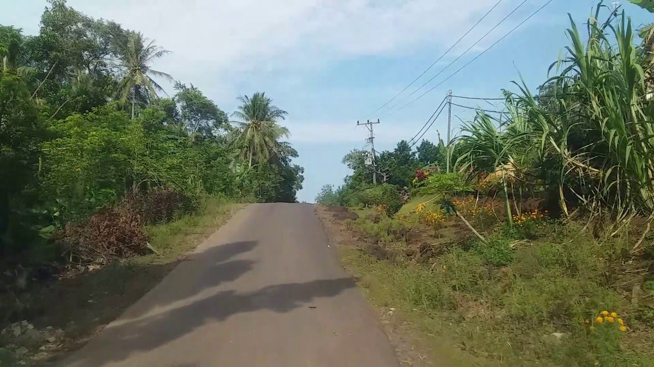 Kondisi desa sumberhadi - desa itik rendai kecamatan melinting lampung timur