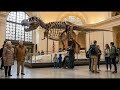 Coverall Creatures Episode 9 | Robot Dog Showdown
