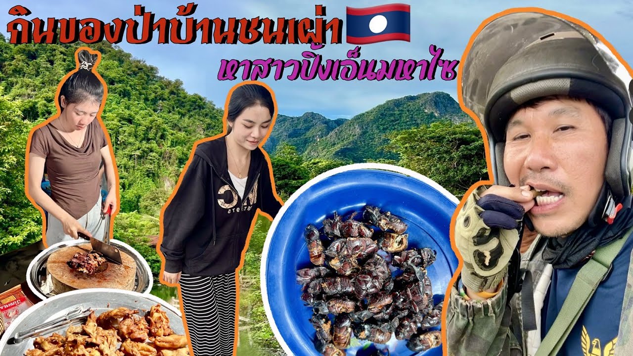 ขี่จักเลาะคำม่วน 35 กินของป่าบ้านชนเผ่ากลับมหาชัยมาร้านสาวคนขยีนเรียนแล้วต้องมาขายปิ้งเอ็น