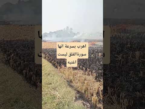 اهرب بسرعة انها سورةالفلق ليست اغنيه Hafizabdullahkhan Explore اكسبلور Qirat Surrah Qurantilawat