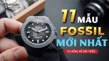 11 Mẫu Fossil ĐẸP MÀ RẺ vừa cập bến Đồng hồ Hải Triều đáng tham khảo nhất