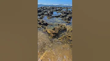 الماء و الحجر صوت يريح النفس Water And Stone Are A Soothing Sound 