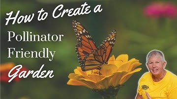 How to Create a Pollinator Friendly Garden | Planting for Pollinators