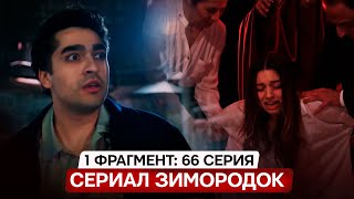 1 Фрагмент! Турецкий Сериал Зимородок 66 Серия Русская Озвучка