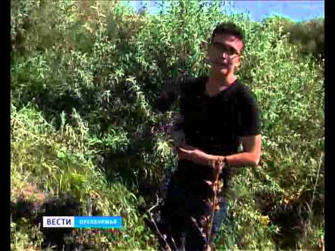 Ревнивый парень покусал лицо подруги, чтобы ни один мужик больше на нее не посмотрел