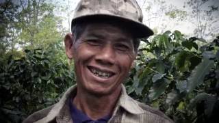 Laos Coffee Cooperatives