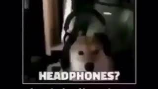 shibe when headphones