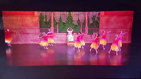 2019 MVDC Flowers