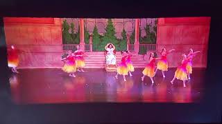 2019 MVDC Flowers