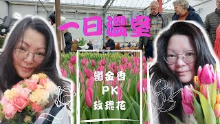 Flower techniques in the night :  It turns out that this is how flowers grow in greenhouses...