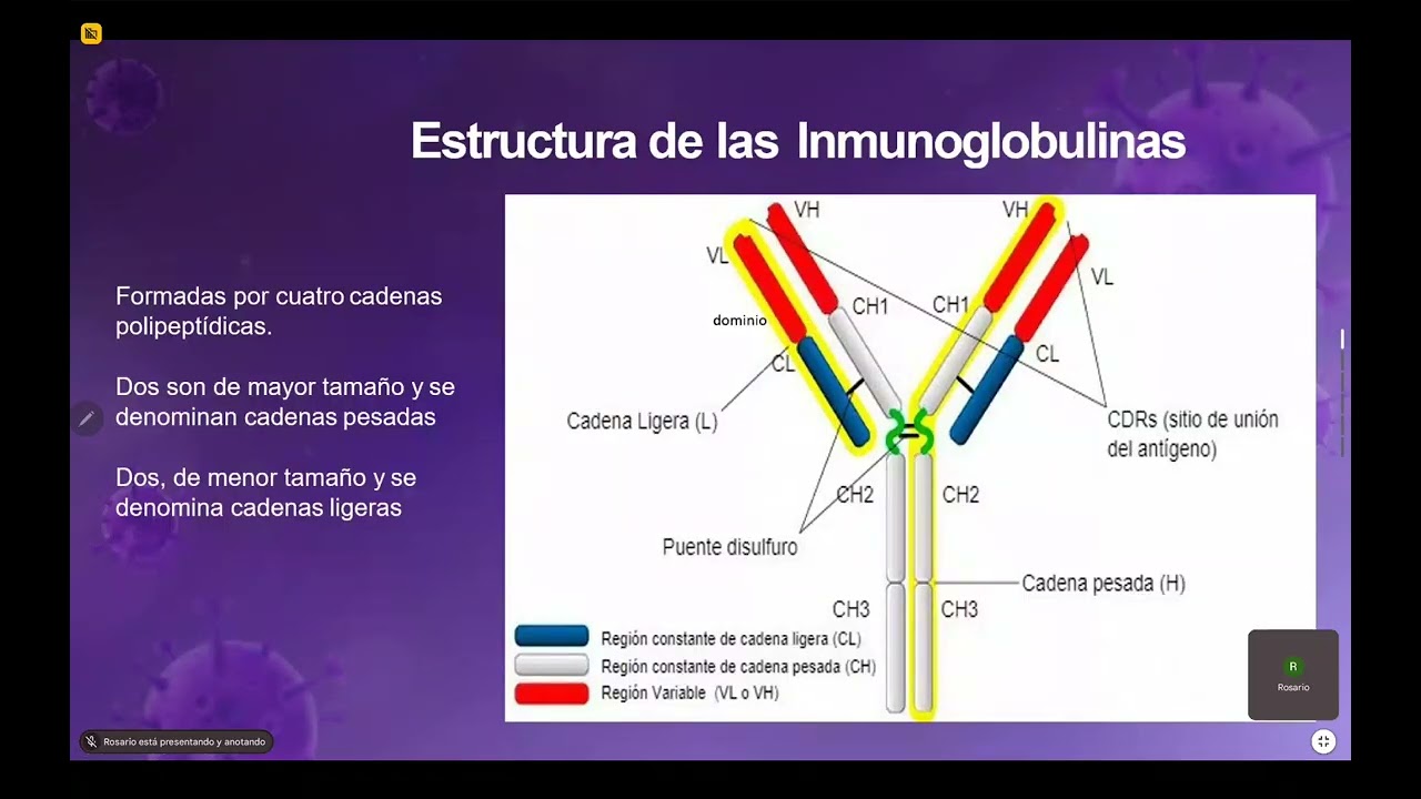 INMUNOLOGÍA (5 clase 22/04)