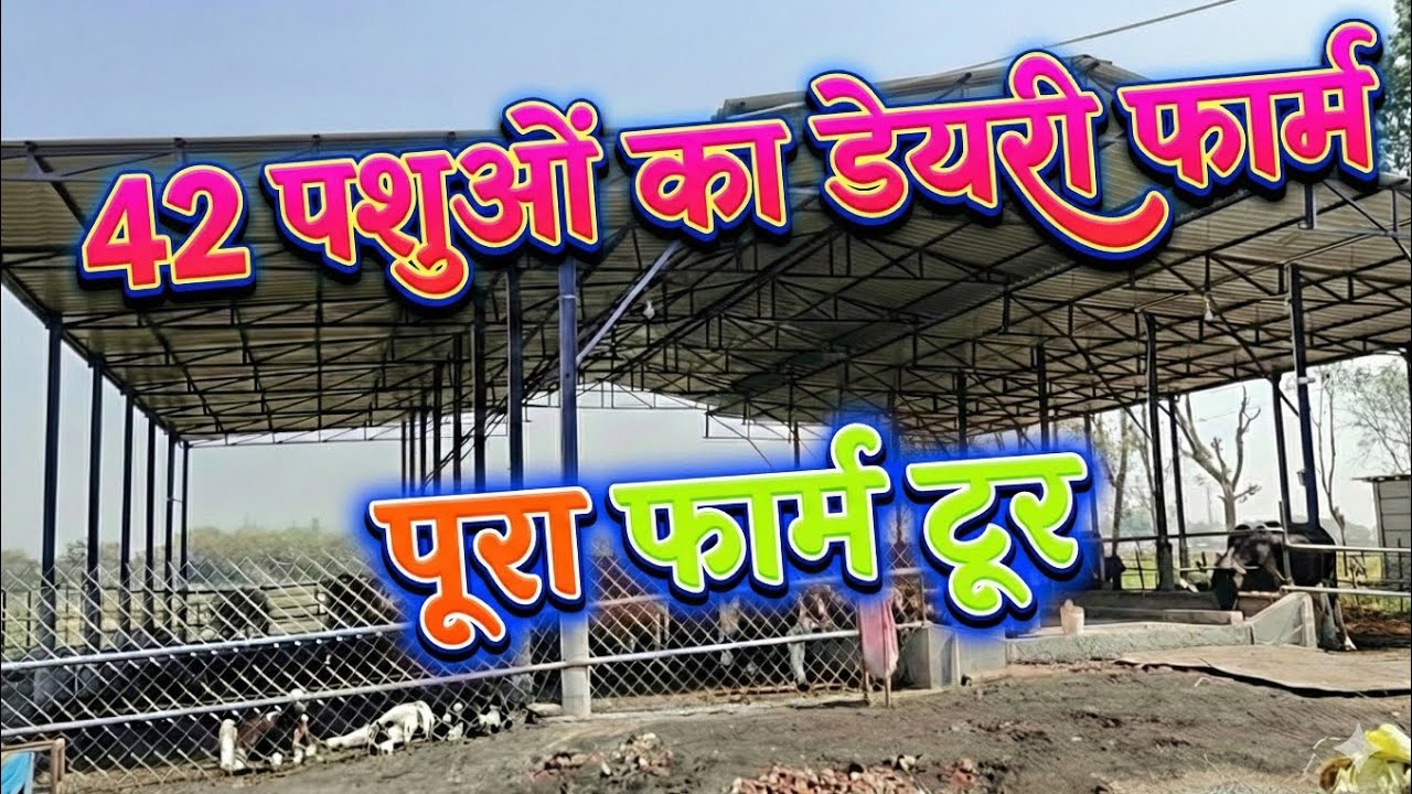West Bengal में 42 पशुओं का डेयरी फार्म 😲 | महीने की कमाई जानकर चौंक जाएंगे!dairy farming india 