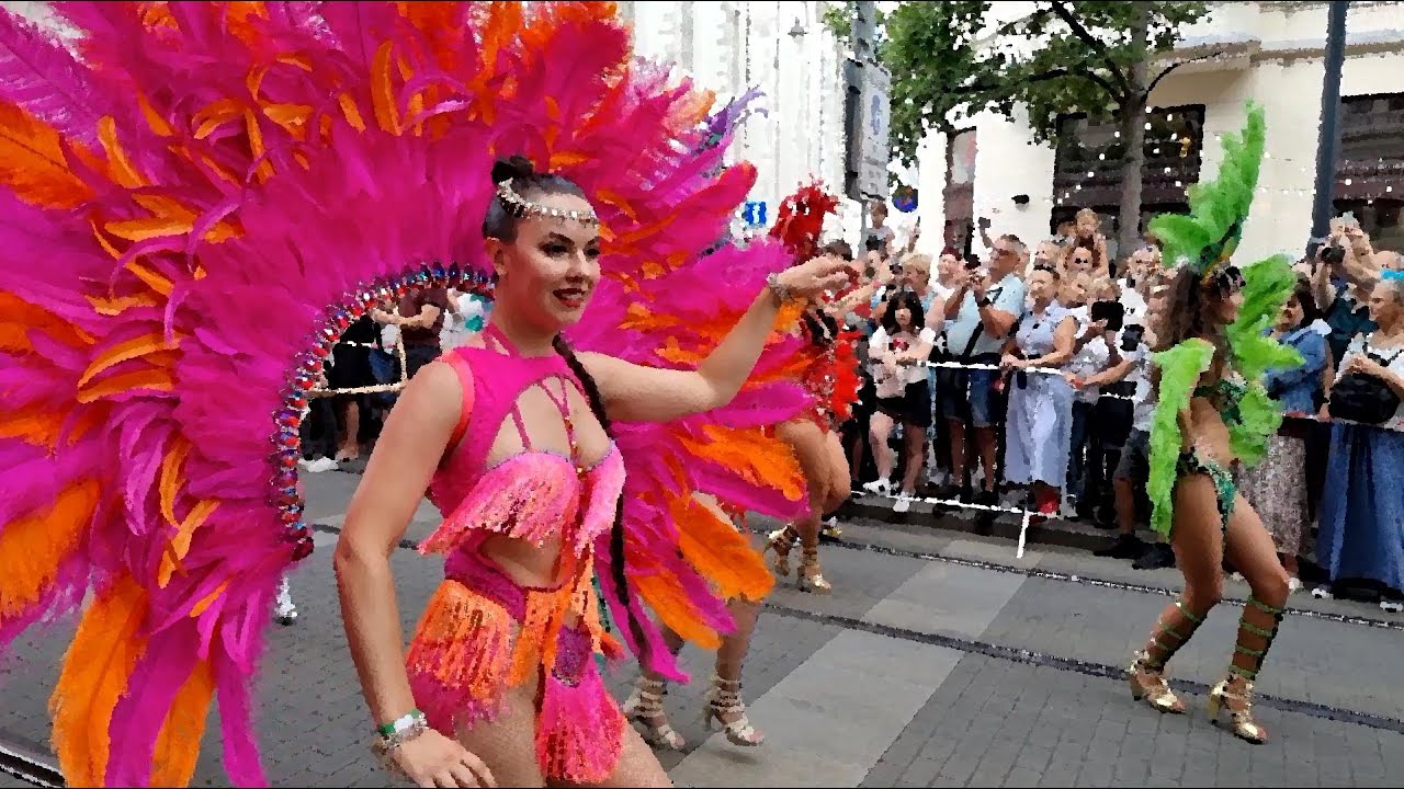 Brazil Fest Brno 2024 - Carnival Parade #brnolife #brno #carnivalparade #brazilculture
