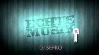 Dj Sefko Love You Rmx 2010