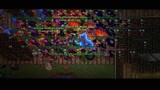 Go Hard In Impera-Global // Tibia Warmode