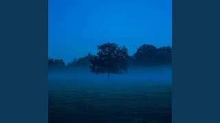 Mist
