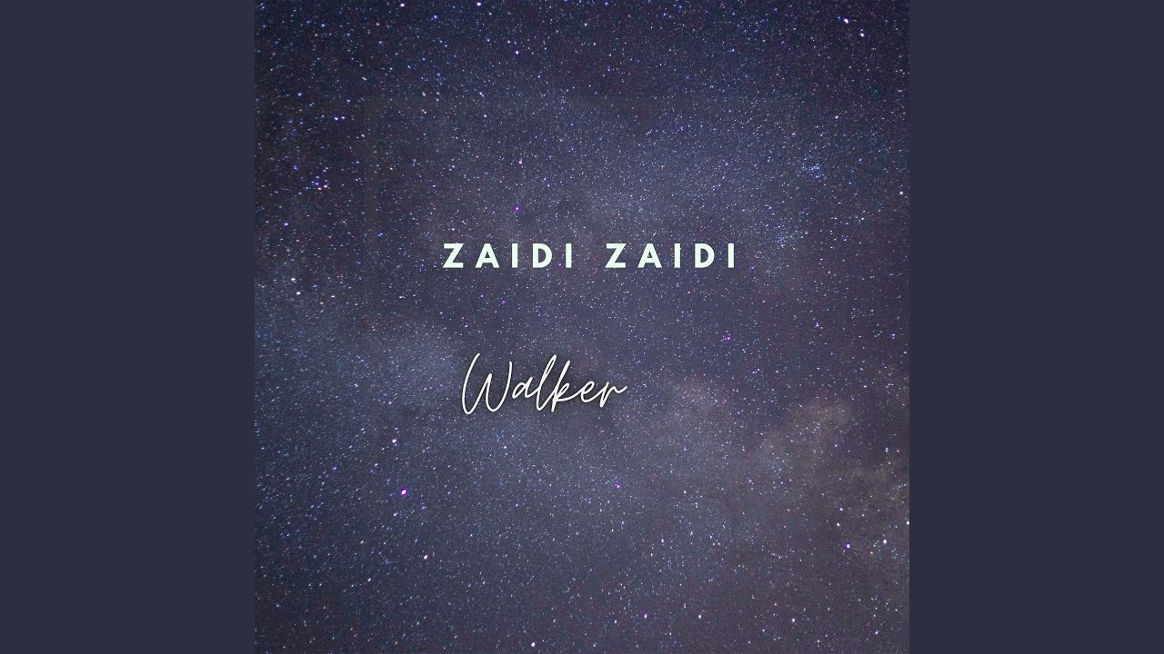 Zaidi Zaidi