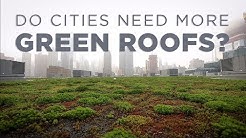 Do Cities Need More Green Roofs? | NPR