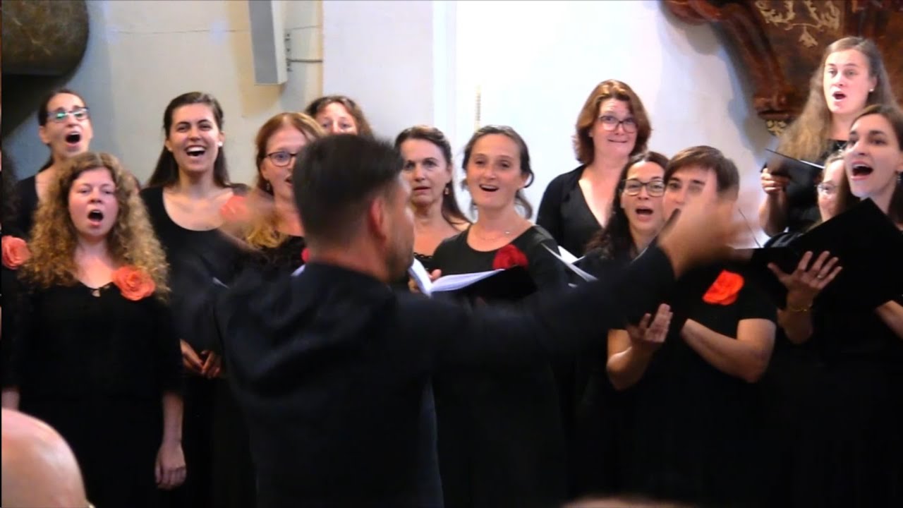 Letní koncert devíti sbormistrů 9.8.2025 Pribram