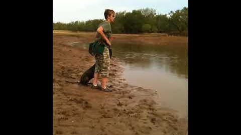 Belle after Force Fetch