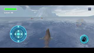 Sea Lion Simulator 3D Kills 8 Octopus and 1 Wolf screenshot 5