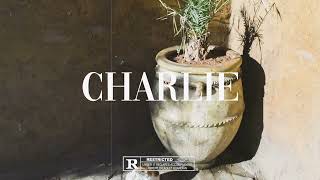 [Free] Dhurata Dora x Reggaeton Type Beat - “Charlie”