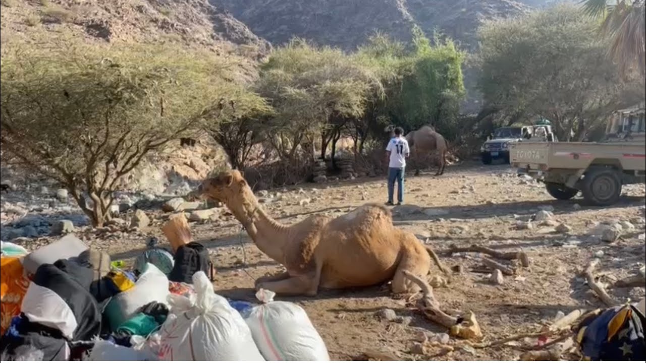 رحله لابناء ريو يافع في السيله 2/2/2022