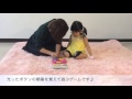 初めての絵本に読み聞かせたい！ママに人気の知育絵本を試してみました♪