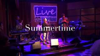 Summertime Cover - Veronica Murden
