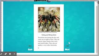 Tarantula: Nonfiction Text Features