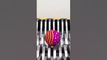 Shredding Moments | SATISFYING ASMR COMPILATION #shorts