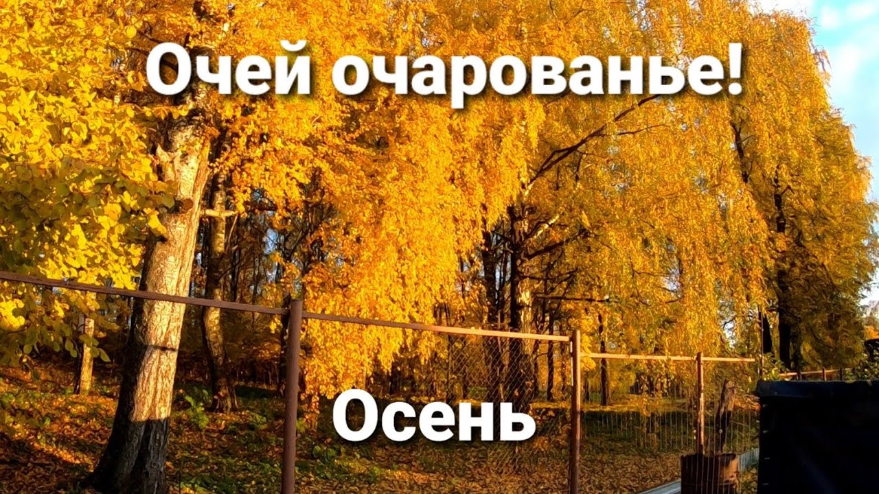 Это просто цирк какой-то!!! Это надо видеть!!!