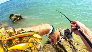 Pesca a Spinning in Mare d'Estate: Due Artificiali Sorprendenti e TANTE Catture!