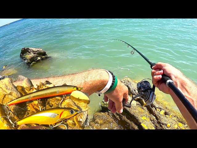 Esche Da Pesca In Gelatina Con Ganci, Coda Riccia, Colore Bianco, Confezione Da 6 Per Pesca In Mare