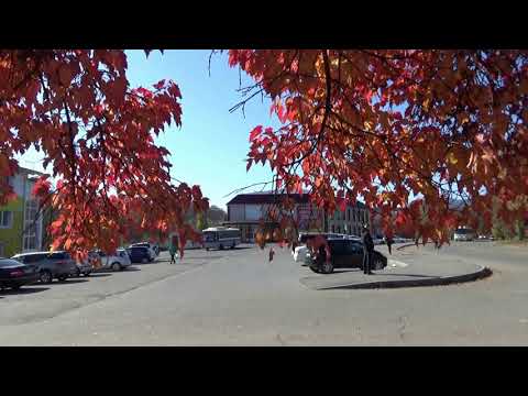 Город Партизанск (сборное видео)