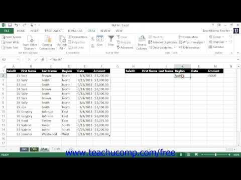 Excel 2013 Tutorial Applying Multiple Criteria Microsoft Training Lesson 22.5