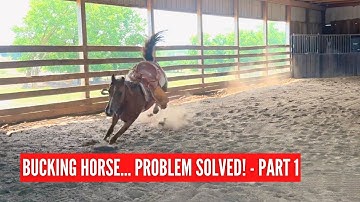 D/C HORSE RECENTLY STARTED BUCKING and Refusing To Get Caught | PART 1