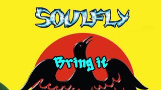 Soulfly feat Fred durst - Bleed (cover with lyrics)