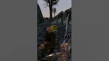 Killing the adoring fan in Morrowind every day until Skywind and Skyblivion are released Day - 326