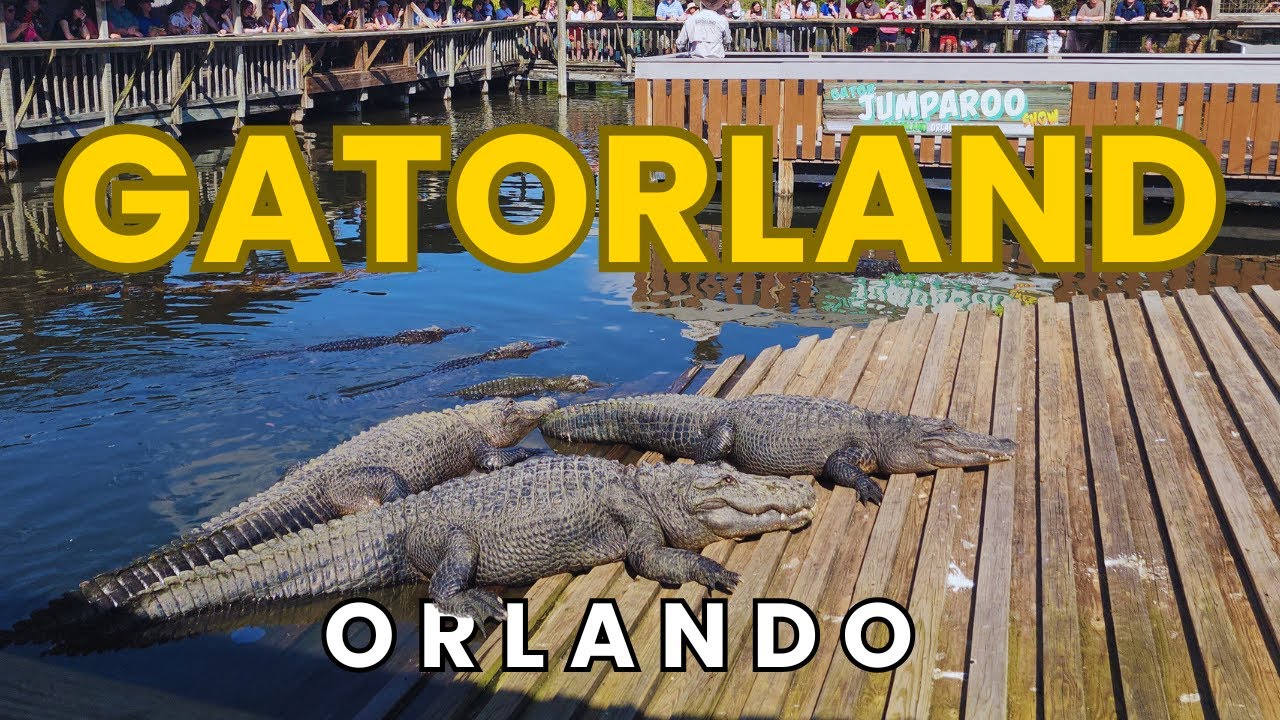 Gatorland Orlando Florida Ultimate Full Tour